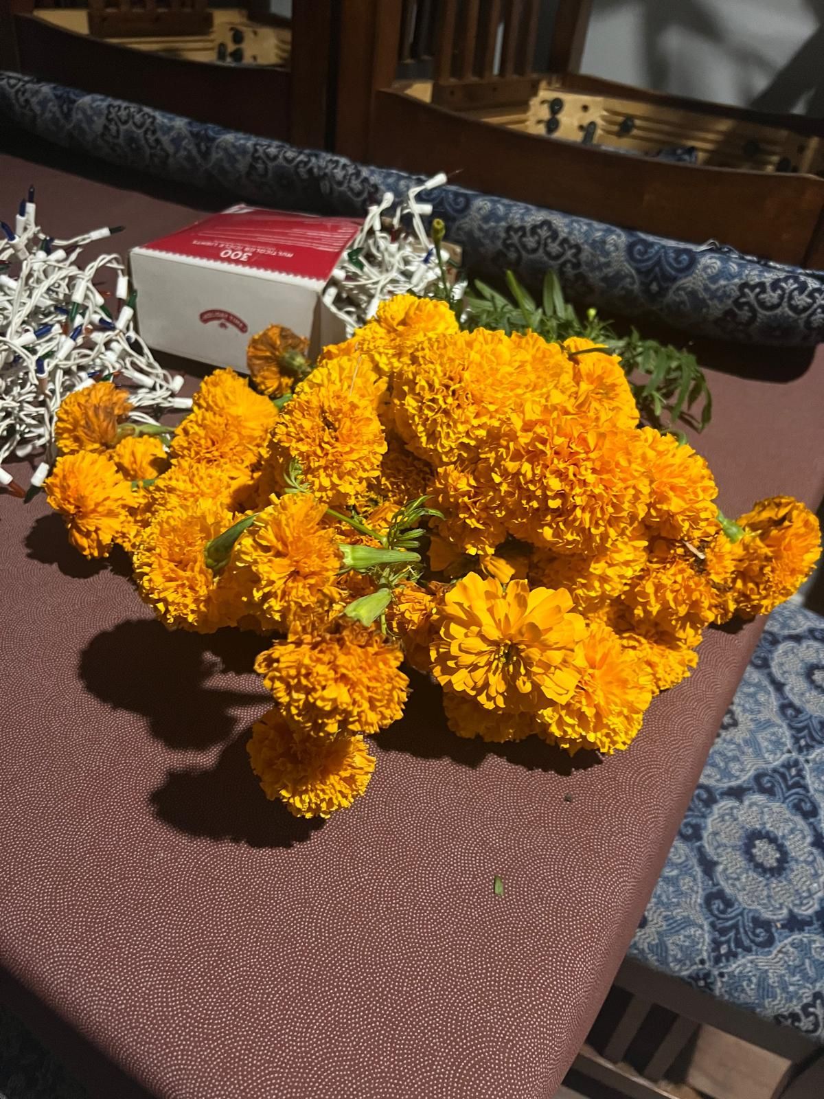 Flor De Cempasúchil