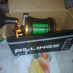 fishing reel