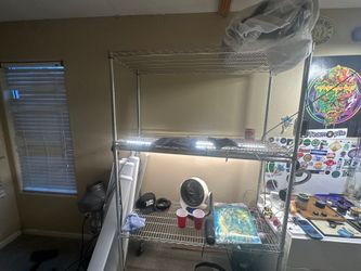 Plant rack lights