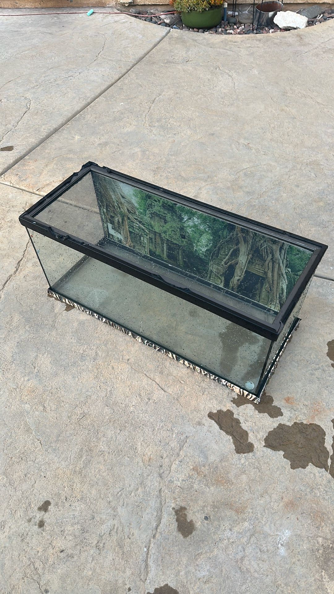 Reptile  Cage 🦎 🐍  20 Gallon