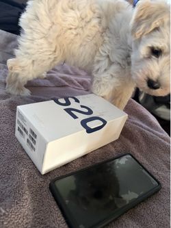 Samsung galaxy s20