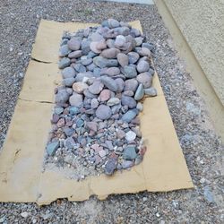 Medium River Rock 6 Inch