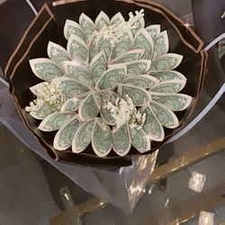 Money Bouquet Gift
