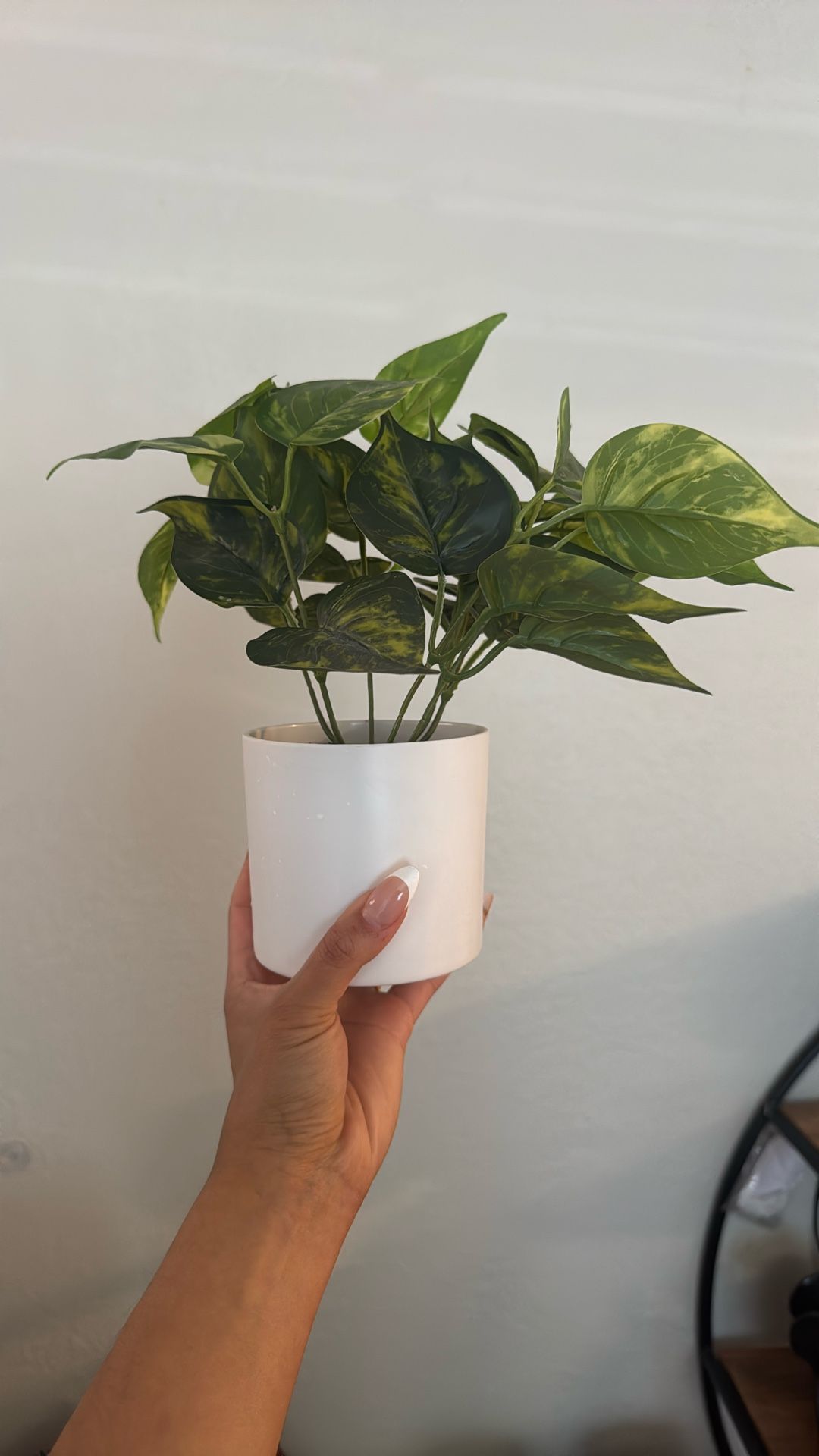 Fake Plants