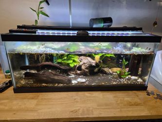Aquarium
