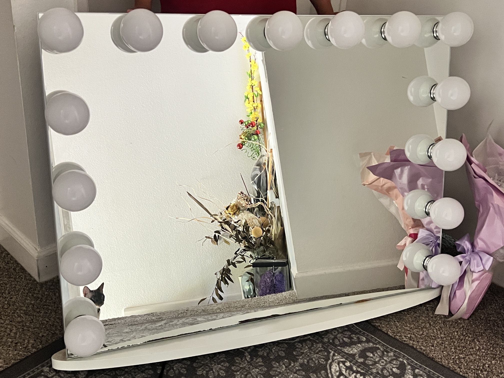 Beauty Creations Mirror BULBS DO NOT WORK