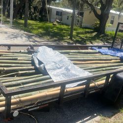 Bamboo  Poles  2” 3” By 8ft. 