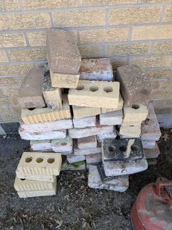 Common bricks.  Different styles.  50 cents per brick.