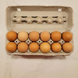 Dozen Fresh Eggs For Sale