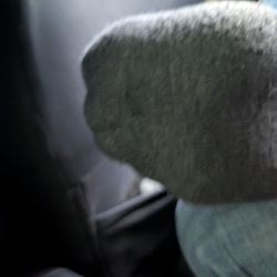 Got These Socks Fer The Low