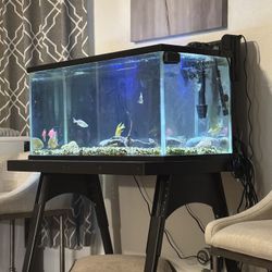 40g Aquarium Parts