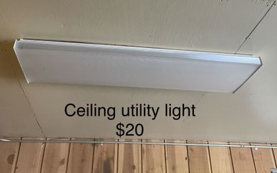 Ceiling Utility Light