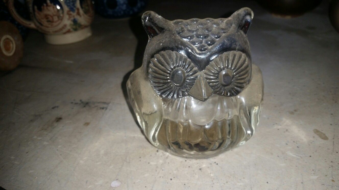 Owl