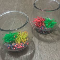 2 Glass 1.5 Gallon Fish Bowls 