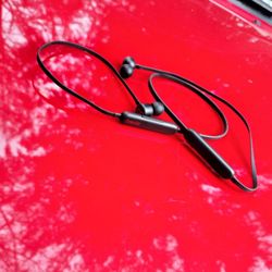 Beats Flex Wireless Earbuds