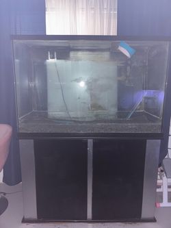 110 gallon fish tank with stand included