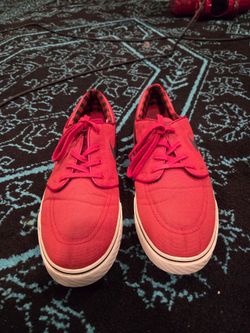 Nike SB Zoom