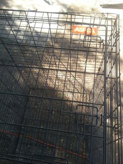 , dog kennel
