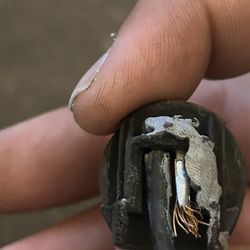 Fuel Injector       Chevy S10 