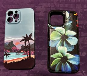 2 iPhone 13 Pro Max Case