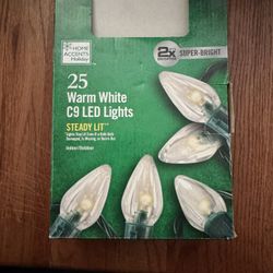 25 Warm White C9 LED Lights
