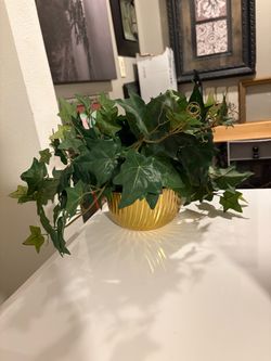 Artificial Ivy Plant in Gold Pot