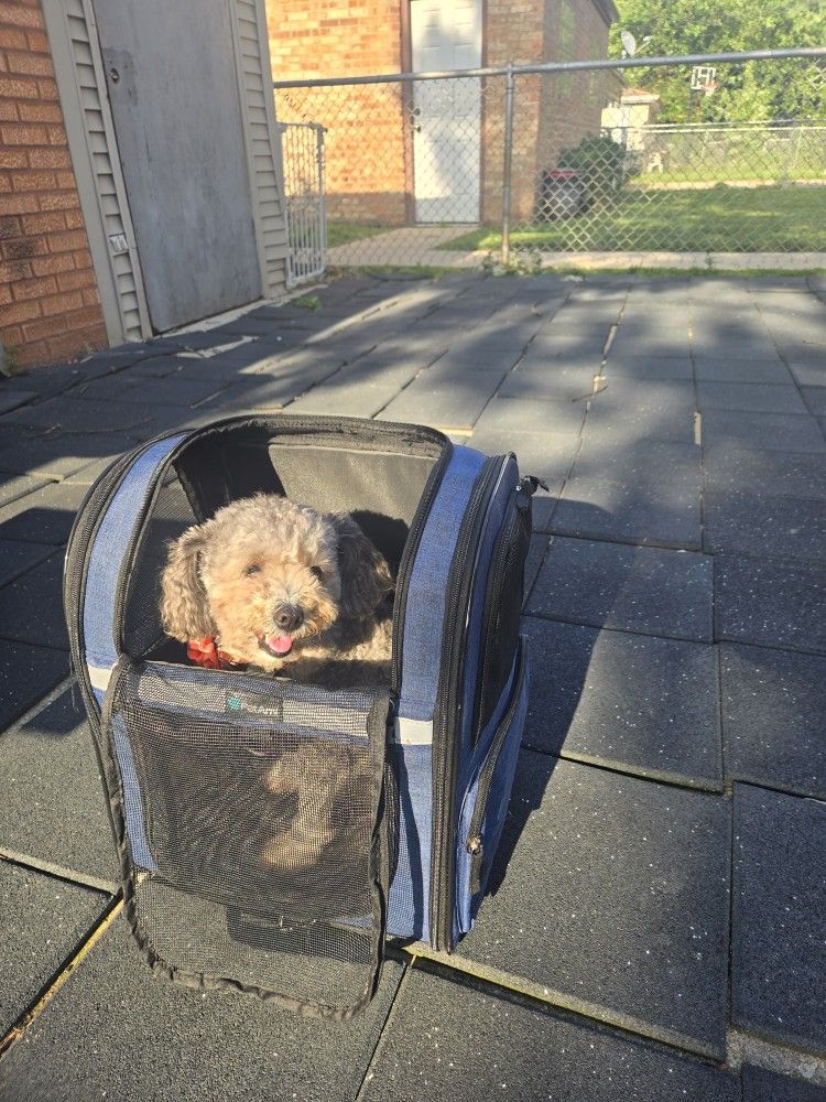 Pet Backpack NEW