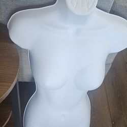 New Mannequin Torso