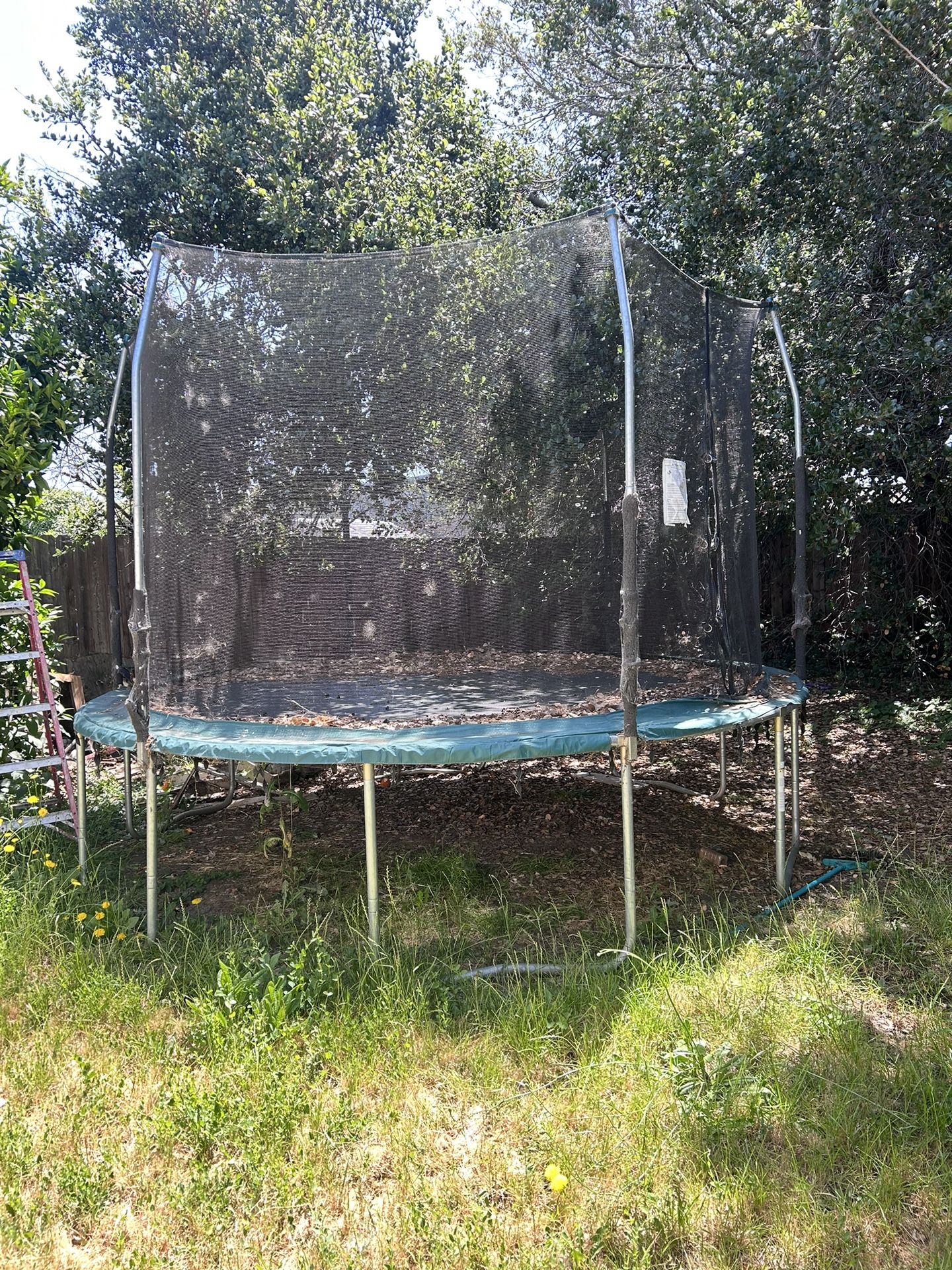 10ft Trampoline Great For The Kids