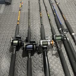 Fishing Rod  And Reels 