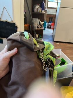 Purse