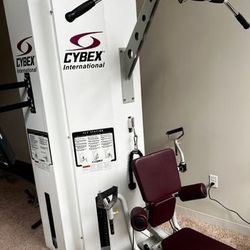 cybex gym equipment model: 8650-91 