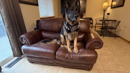 Sofa $50