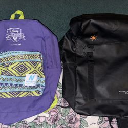 Disney Backpacks 