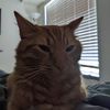 Sam