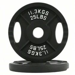 25 LBS Weight Plates