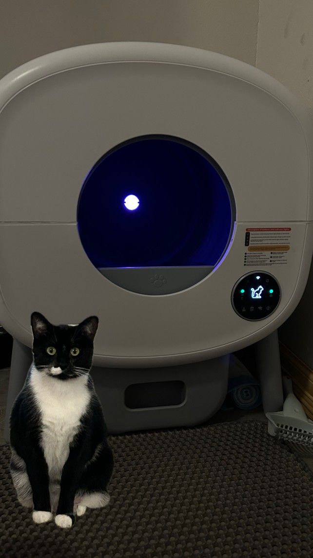 Self Clean Cat Litter Box