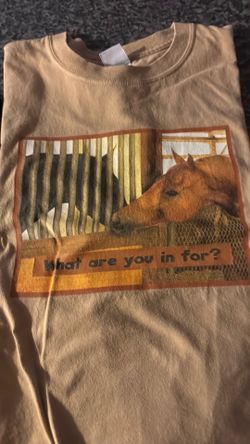 Womens XL tee shirt collection