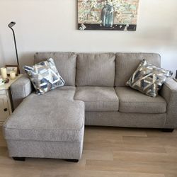 Grey Couch With Chase