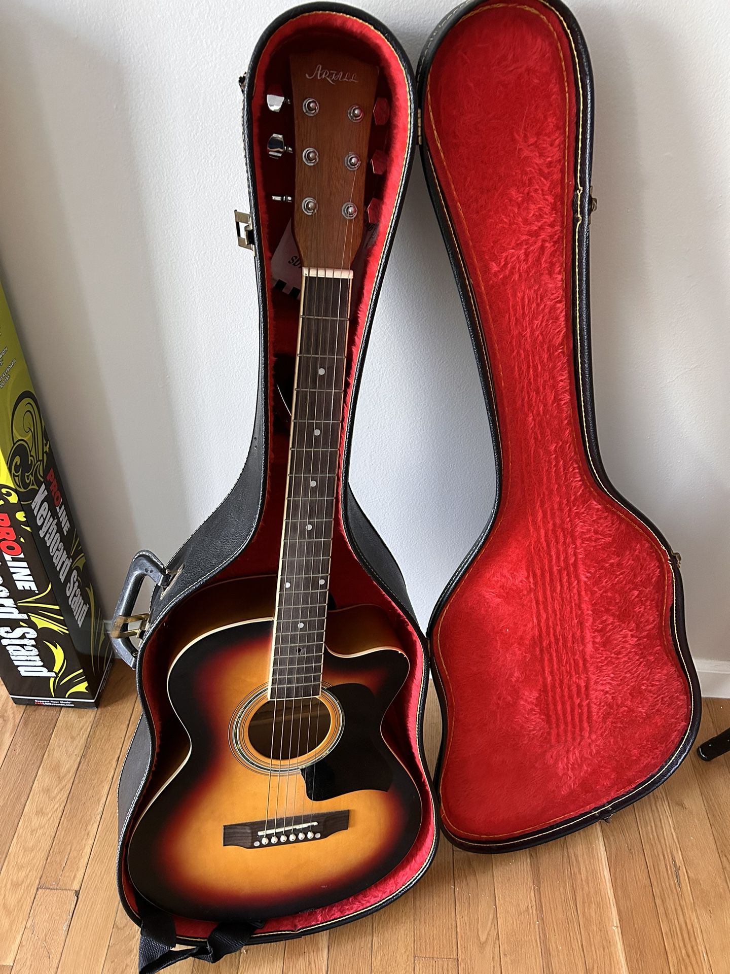 Guitar w/ Case and Cleaning And Repair Kit