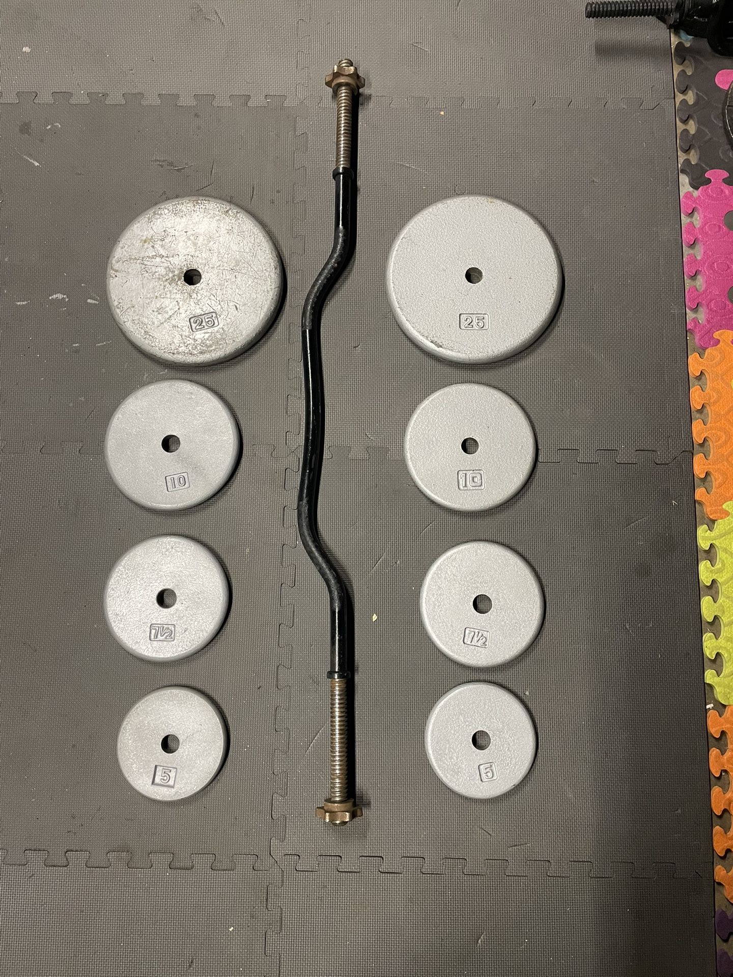 Weight Plates / Curl Bar            80 Dollars 