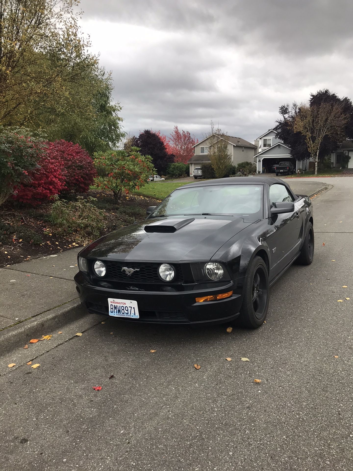 2007 Ford Mustang