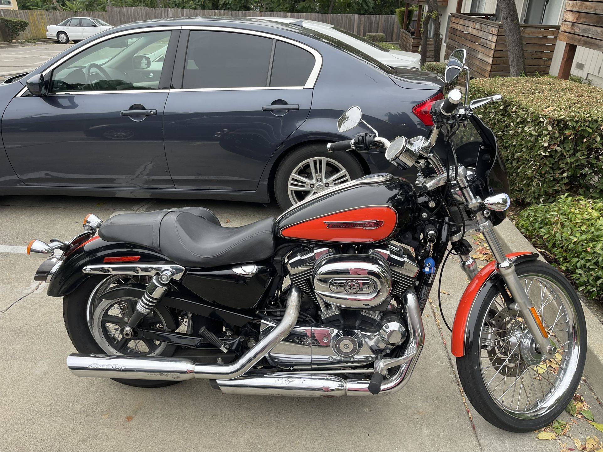 2009 Harley Dabidson Sportster 1200XL custom