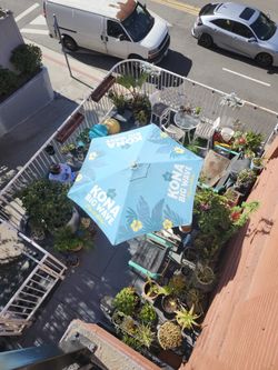 Patio Umbrella