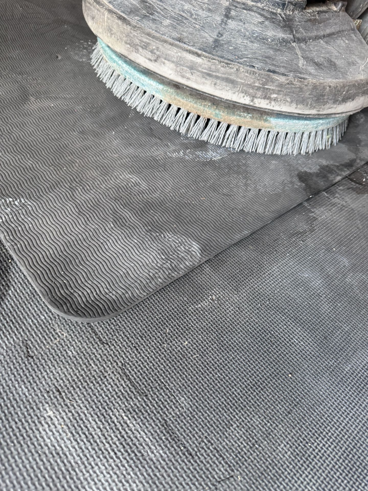 Floor Scrubber