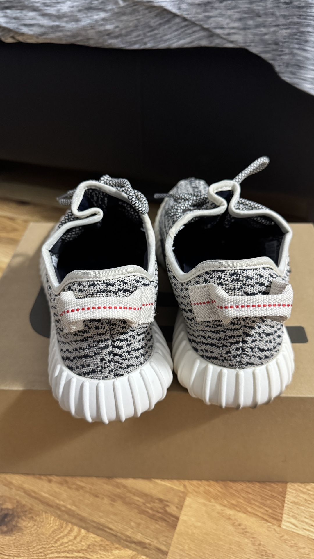 turtle dove kid yeezy 350
