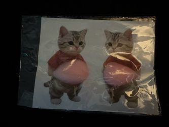 Cat sticker