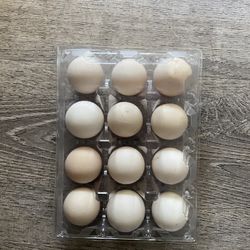 Fresh Farm Eggs
