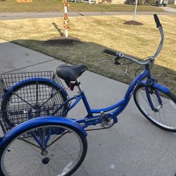 3 Wheel Adult Bike