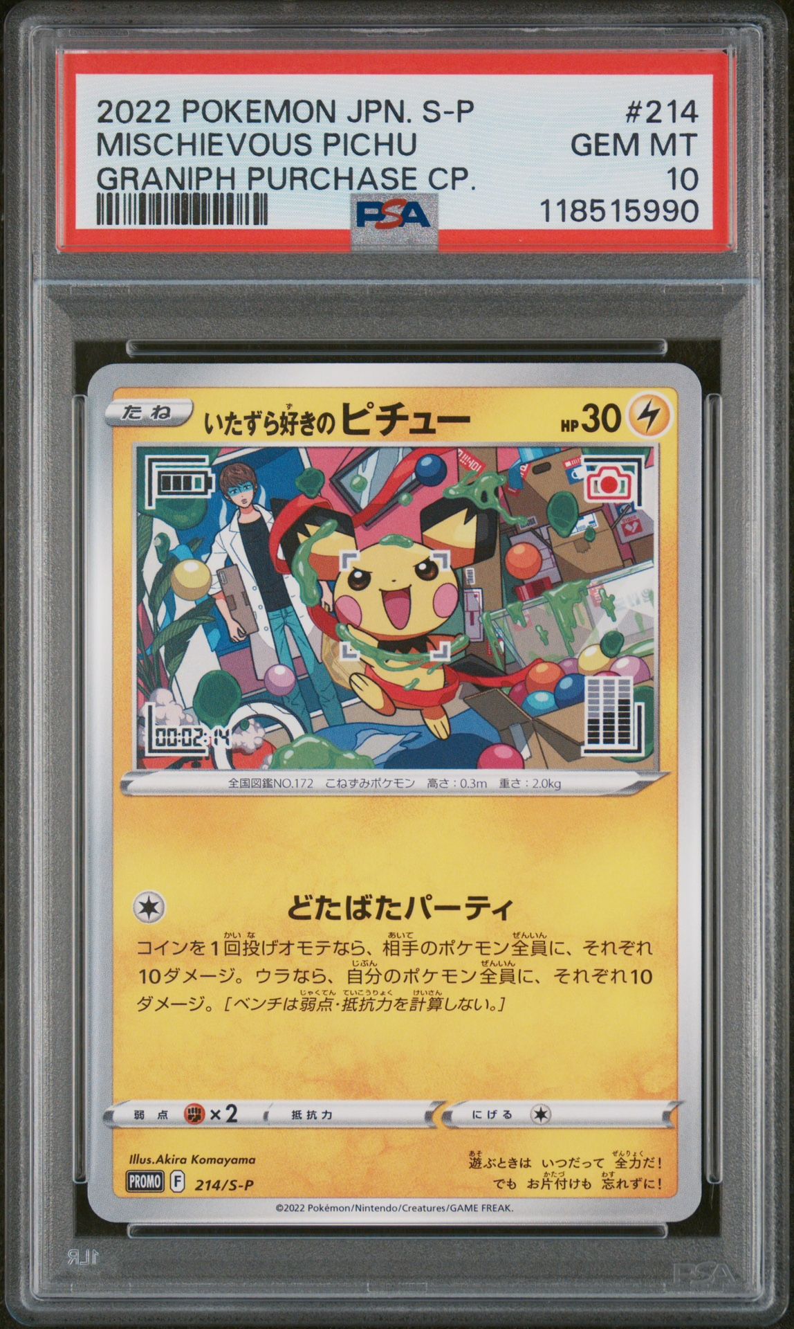 Pichu Graniph